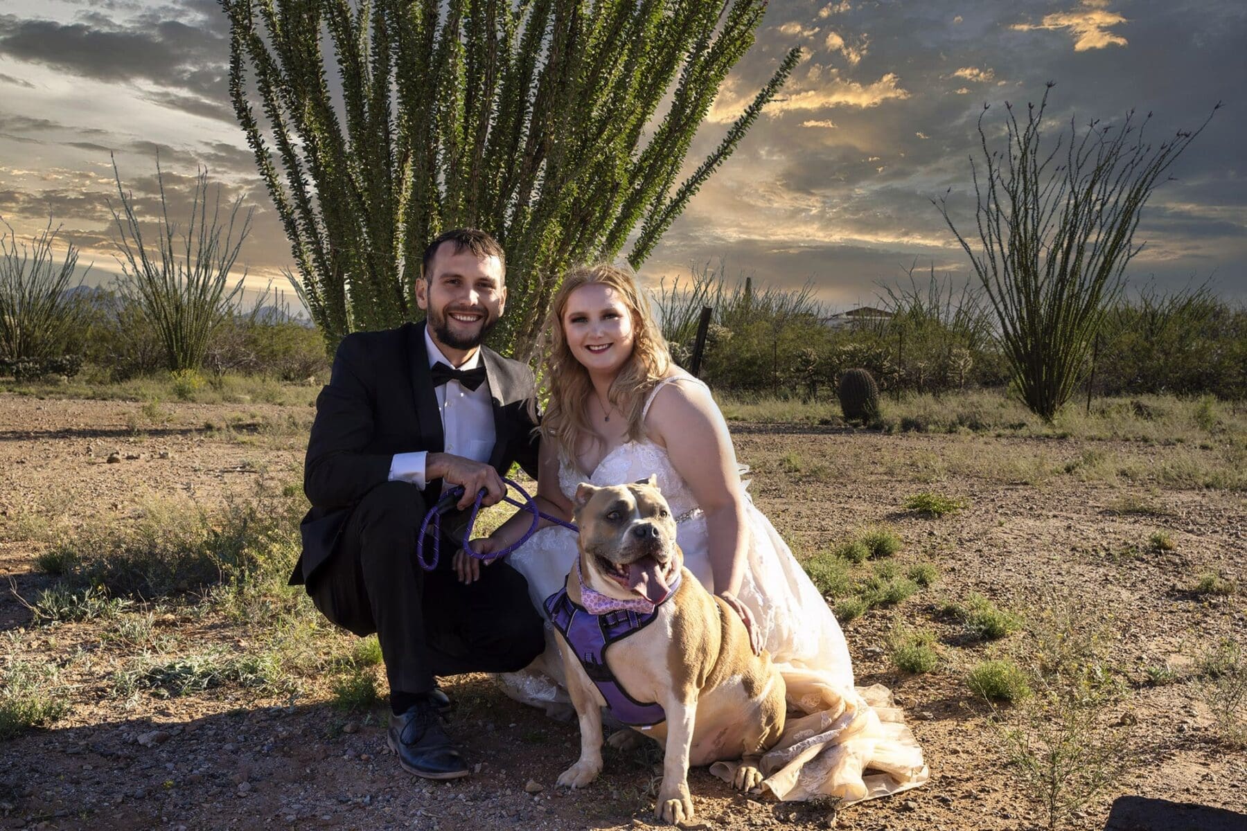 Ahnnick’s backyard wedding in Vail, Arizona, photograph 5
